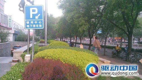 拍照样张：室外