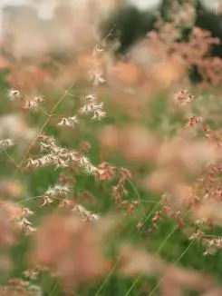 时尚可爱不乏精致小巧佳能E1详尽评测(13)