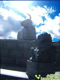 轻薄创新至上苹果iPodnano4全面评测(16)