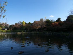 点击放大此图片