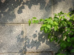 三星NV9_实拍样张分析