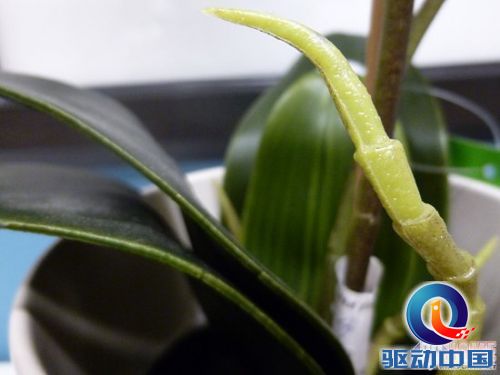 掌控在你手 松下SZ5远程拍试用评测