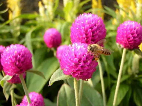 μ系卡片DC闪亮变身奥林巴斯μ1040评测(13)