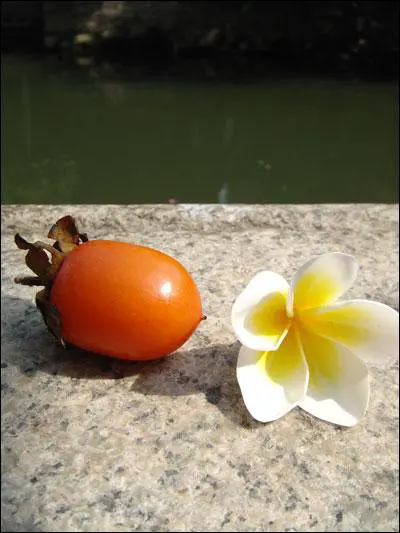 高清录像卡片机时尚索尼T500全面评测(10)