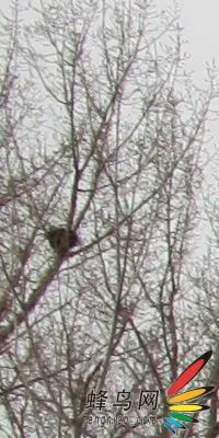 副厂镜头不副适马24-70F/2.8HSM评测(7)