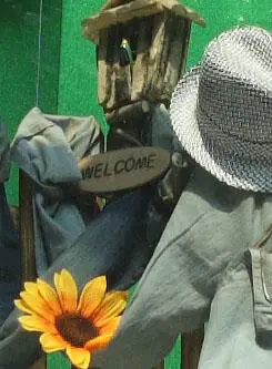 以画质取胜入门单反佳能1000D深度评测(12)