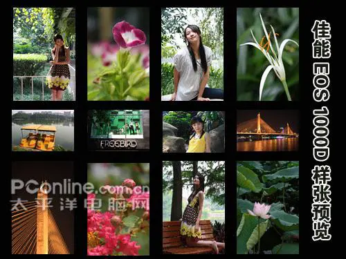 以画质取胜入门单反佳能1000D深度评测