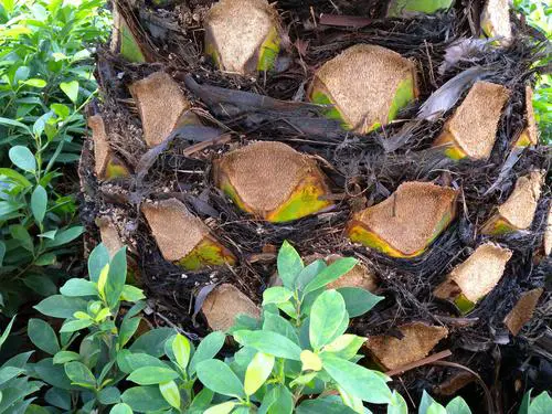 顶级全手动消费旗舰尼康高端P6000评测(13)