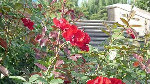 由内而外的强悍 高画质松下FX180详细评测 