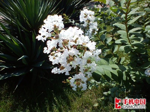 精致Timescape 索尼爱立信E15i首发评测