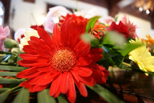 1420万像素入门首选 索尼A390评测首发 