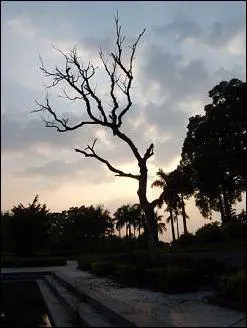 秀外慧中的选择尼康便携S710综合评测(13)