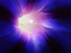 时尚代言内外兼修 奢华卡片索尼T700评测 时尚代言内外兼修 奢华卡片索尼T700评测