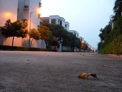 乐趣触摸拍摄体验3寸大屏明基T850评测(12)