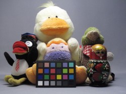 点击放大此图片