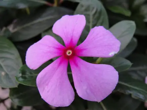 智能高清入门级便携小长焦索尼H20评测(6)