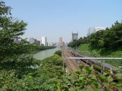 点击放大此图片