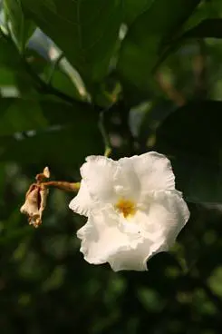 以画质取胜入门单反佳能1000D深度评测(21)