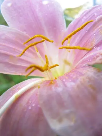 压倒性长焦力量20倍光变佳能SX10IS评(7)