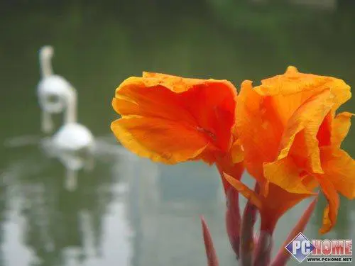 拥有92万像素触摸屏时尚索尼T700评测(10)