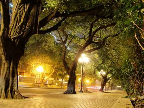 智能高清入门级便携小长焦索尼H20评测(7)