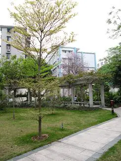 卡片机身藏巨炮轻巧佳能SX200IS评测(11)