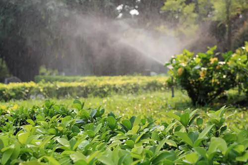 以画质取胜入门单反佳能1000D深度评测(16)