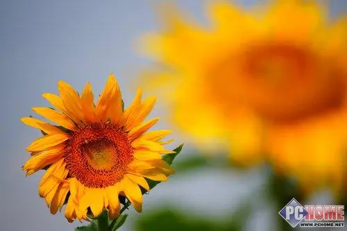 走向高端索尼首款全画幅单反α900评测(22)