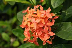 以画质取胜入门单反佳能1000D深度评测(21)