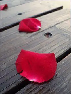 秀外慧中的选择尼康便携S710综合评测(13)