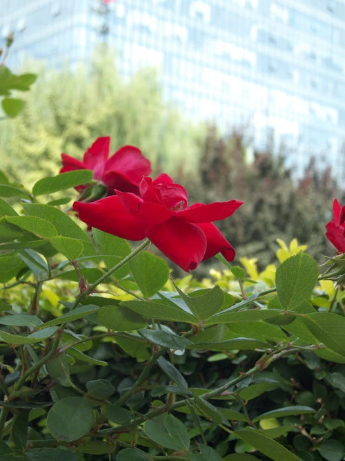 由内而外的强悍 高画质松下FX180详细评测 