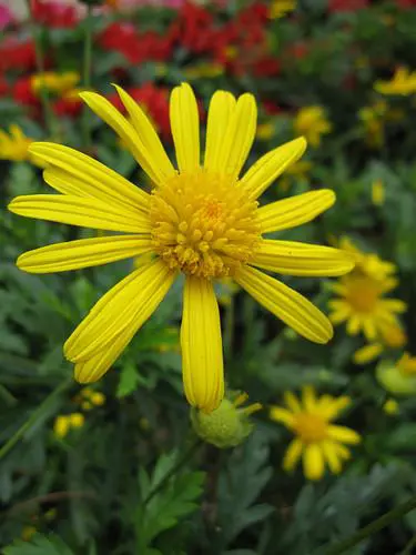 宽屏高清大广角佳能IXUS110IS评测(9)