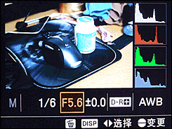 最高像素全画幅单反索尼α900详尽评测(5)