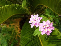 三星NV9_实拍样张分析