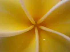 朴实无华5倍光变奥林巴斯FE-370评测(14)