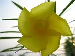 时尚可爱不乏精致小巧佳能E1详尽评测(13)