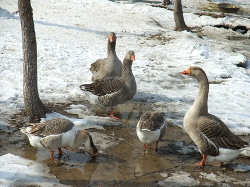口袋中的高画质DC 富士F200EXR评测首发 