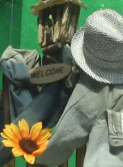 以画质取胜入门单反佳能1000D深度评测(12)