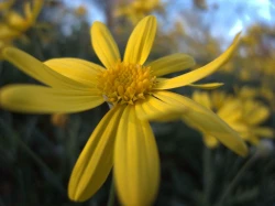 点击放大此图片