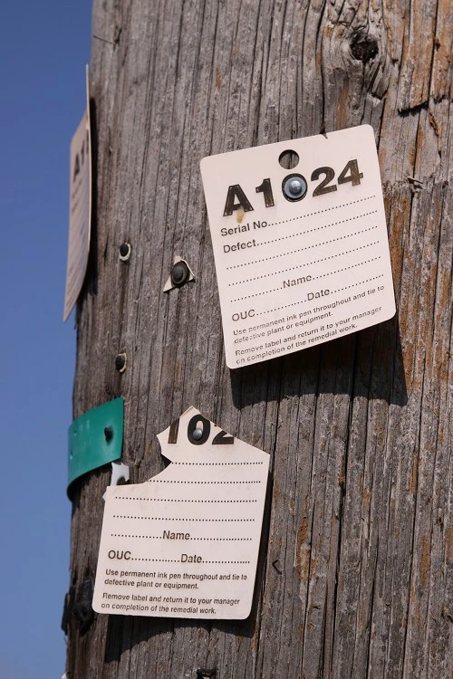 出色1500万像素 佳能50D国外评测样片