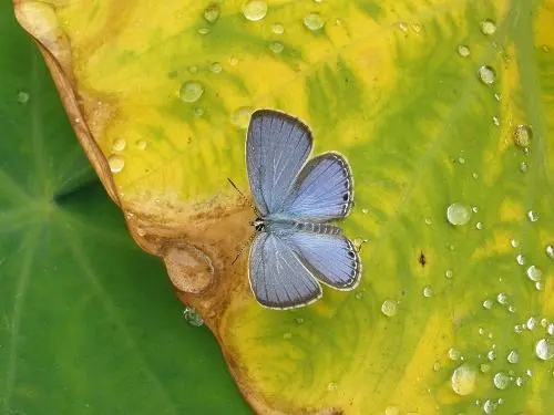 朴实无华5倍光变奥林巴斯FE-370评测(9)