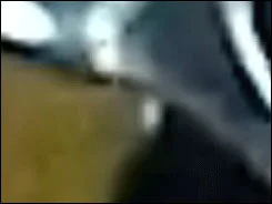 宾得e60 ISO 宾得e60 ISO