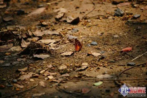 走向高端索尼首款全画幅单反α900评测(24)