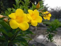 乐趣触摸拍摄体验3寸大屏明基T850评测(13)