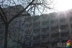 副厂镜头不副适马24-70F/2.8HSM评测(9)