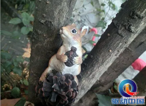 要做大美人 卡西欧TR200倾情评测