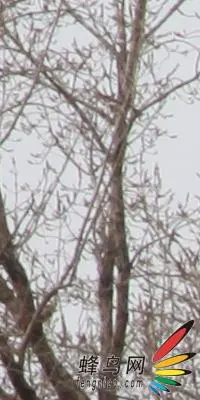 副厂镜头不副适马24-70F/2.8HSM评测(8)