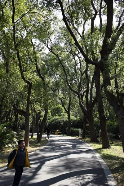 接近完美佳能全画幅5DMarkII评测(10)