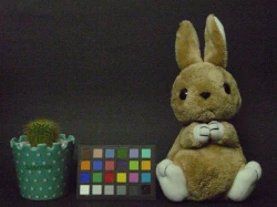 点击放大此图片