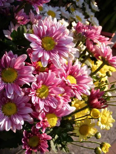 μ系卡片DC闪亮变身奥林巴斯μ1040评测(13)